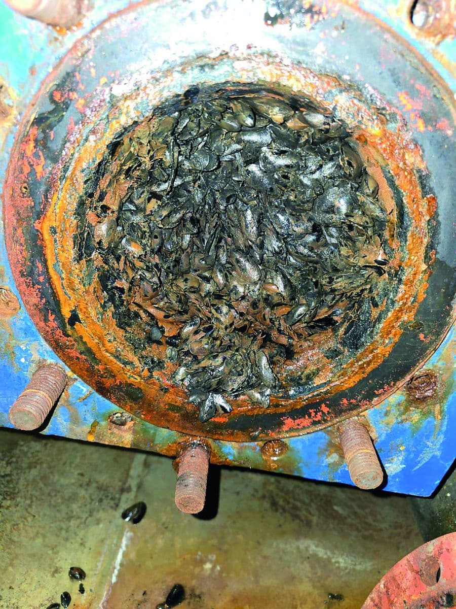 Cooler inlet blocked with marine growth and mineral deposits